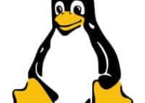Linux System Admin Job Responsibilities