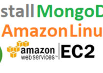 Steps to Install MongoDB on Amazon Linux