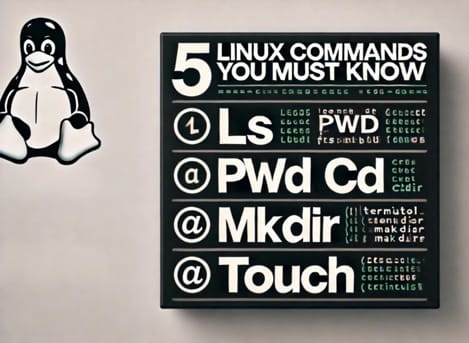 5 Essential Linux Commands Every Beginner Must Know